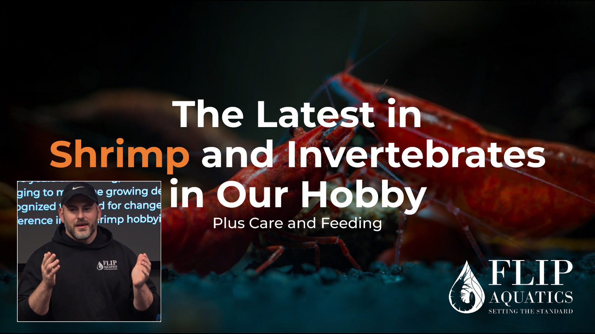 The Latest in Shrimp and Invertebrates - Rob Lupton - 2024 M10 12, Sat