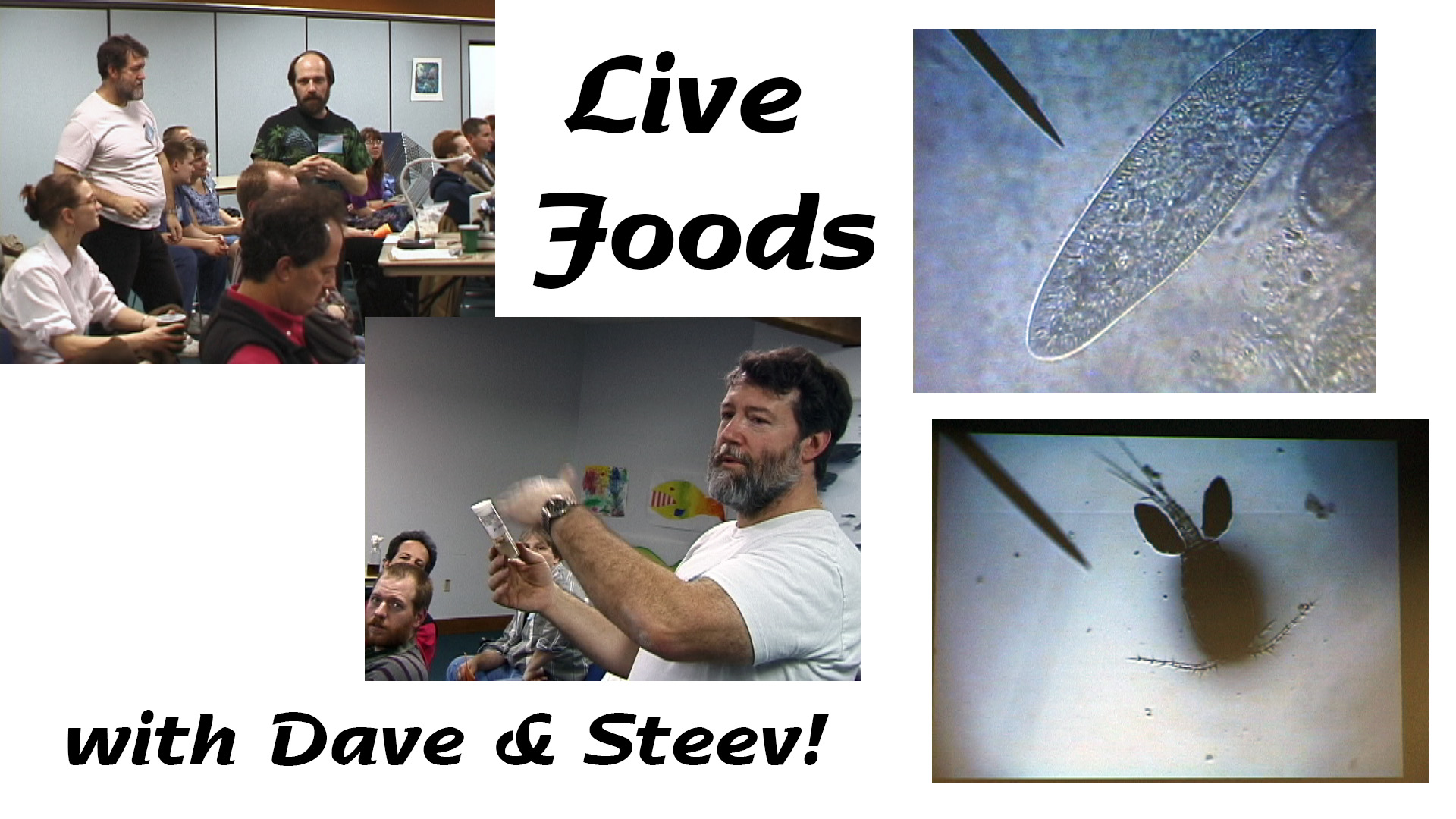 Live Foods Live! - Dave Sanford and Steev Ward - 2003 M03 11, Tue