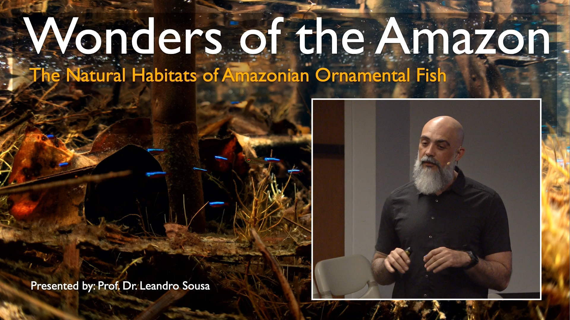 Wonders of the Amazon - The Habitats of Amazonian Ornamental Fish - Dr. Leandro Sousa - 2025 M06 14, Sat