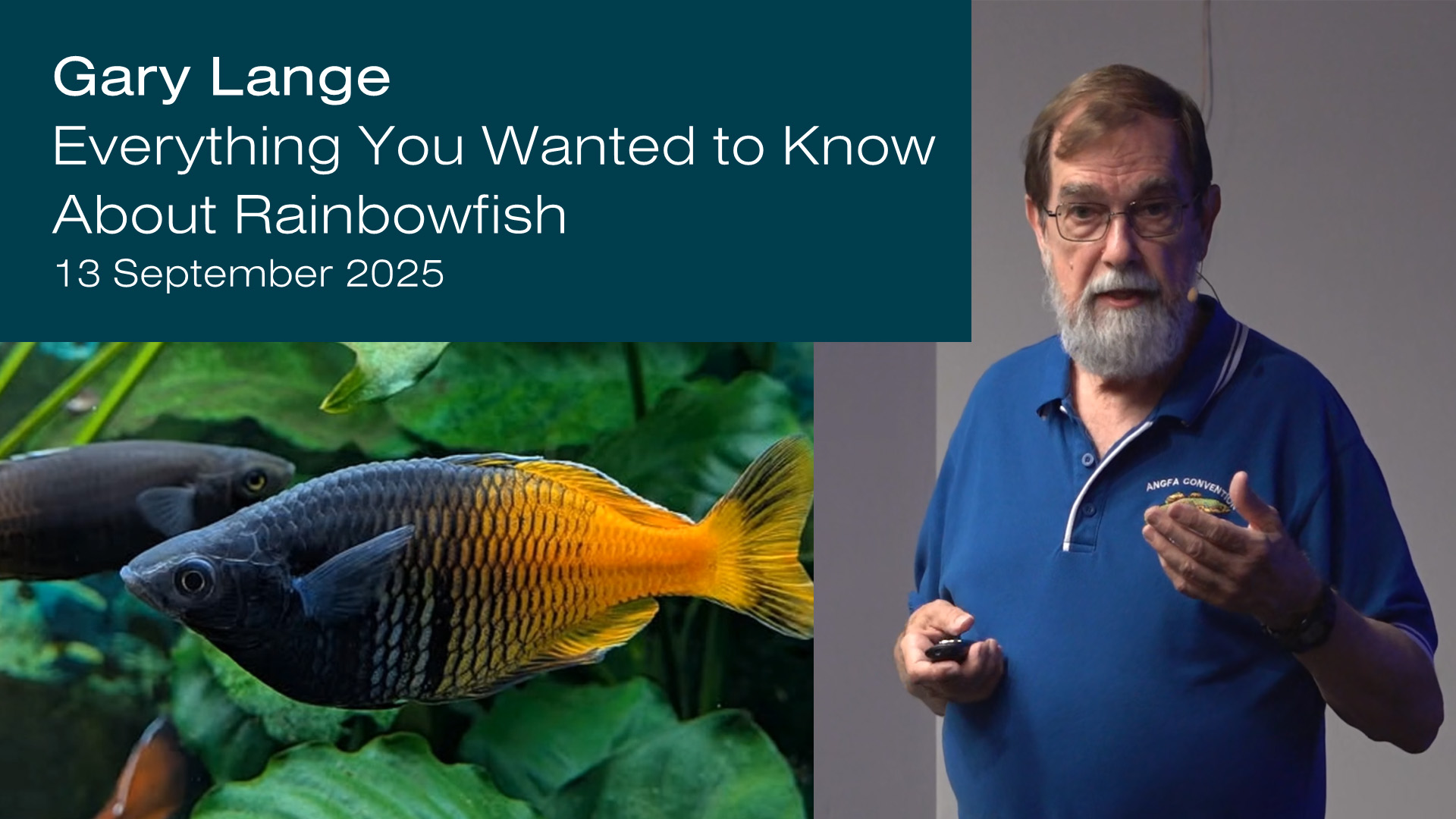 Everything You Always Wanted to Know About Rainbowfish - Gary Lange - 2025 M09 13, Sat