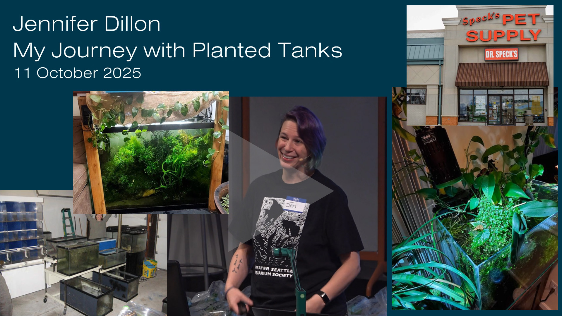 My Journey with Planted Tanks - Jen Dillon - 2025 M10 11, Sat