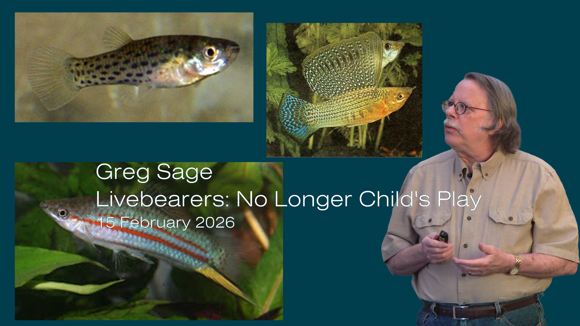 Livebearers - No Longer Child's Play - Greg Sage - 2026 M02 15, Sun