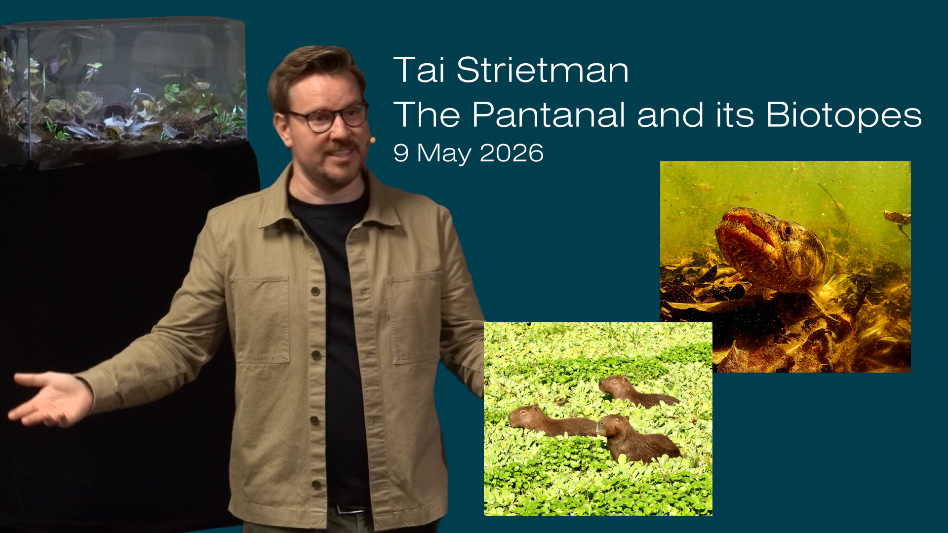The Pantanal and its Biotopes - Tai Strietman - 2026 M05 9, Sat